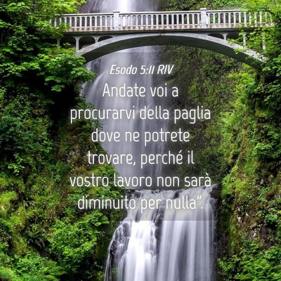 Picture 04 - Esodo 5:11 RIV - Andate voi a procurarvi della paglia dove ne - Bible Verse Picture
