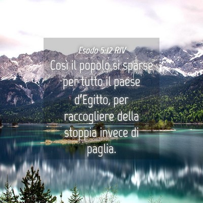 Picture 04 - Esodo 5:12 RIV - Così il popolo si sparse per tutto il paese - Bible Verse Picture