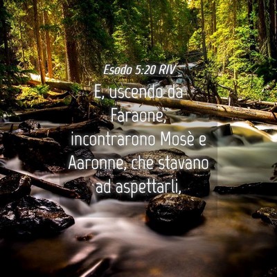 Picture 04 - Esodo 5:20 RIV - E, uscendo da Faraone, incontrarono Mosè e - Bible Verse Picture