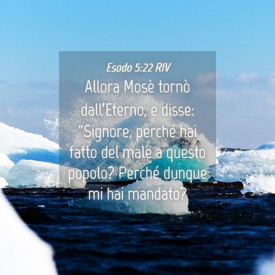 Picture 04 - Esodo 5:22 RIV - Allora Mosè tornò dall’Eterno, e disse: - Bible Verse Picture