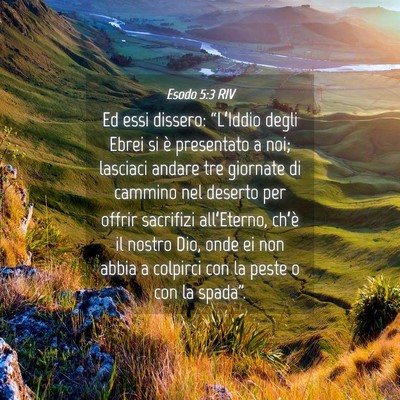 Picture 04 - Esodo 5:3 RIV - Ed essi dissero: “L’Iddio degli Ebrei si è - Bible Verse Picture