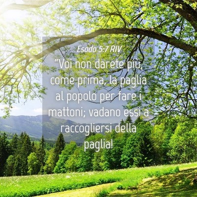 Picture 04 - Esodo 5:7 RIV - “Voi non darete più, come prima, la paglia al - Bible Verse Picture