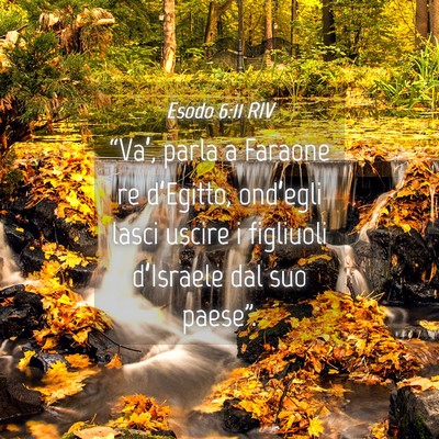 Picture 04 - Esodo 6:11 RIV - “Va’, parla a Faraone re d’Egitto, - Bible Verse Picture