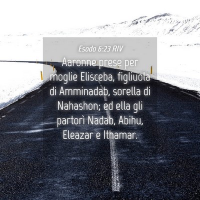 Picture 04 - Esodo 6:23 RIV - Aaronne prese per moglie Elisceba, figliuola di - Bible Verse Picture