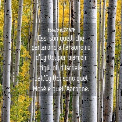 Picture 04 - Esodo 6:27 RIV - Essi son quelli che parlarono a Faraone re - Bible Verse Picture