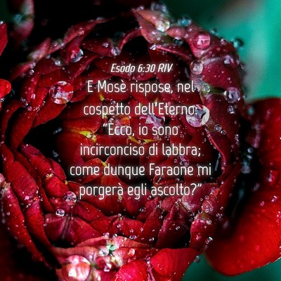 Picture 04 - Esodo 6:30 RIV - E Mosè rispose, nel cospetto dell’Eterno: - Bible Verse Picture