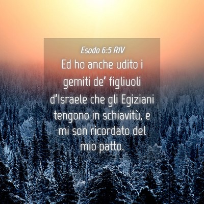 Picture 04 - Esodo 6:5 RIV - Ed ho anche udito i gemiti de’ figliuoli - Bible Verse Picture
