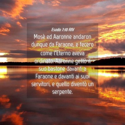 Picture 04 - Esodo 7:10 RIV - Mosè ed Aaronne andaron dunque da Faraone, e - Bible Verse Picture