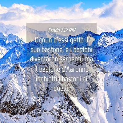 Picture 04 - Esodo 7:12 RIV - Ognun d’essi gettò il suo bastone, e i bastoni - Bible Verse Picture