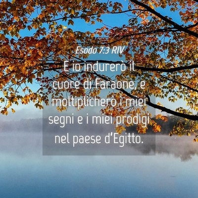 Picture 04 - Esodo 7:3 RIV - E io indurerò il cuore di Faraone, e - Bible Verse Picture