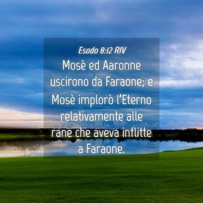 Picture 04 - Esodo 8:12 RIV - Mosè ed Aaronne uscirono da Faraone; e Mosè - Bible Verse Picture