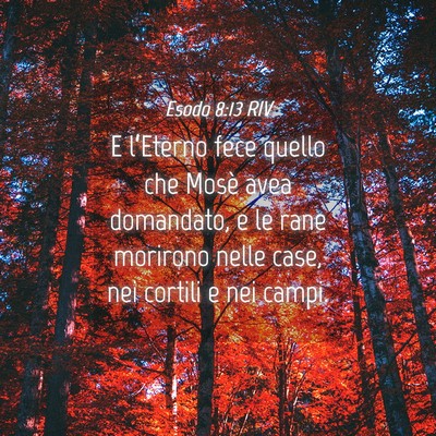 Picture 04 - Esodo 8:13 RIV - E l’Eterno fece quello che Mosè avea - Bible Verse Picture