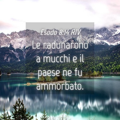 Picture 04 - Esodo 8:14 RIV - Le radunarono a mucchi e il paese ne fu - Bible Verse Picture