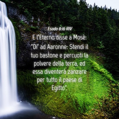 Picture 04 - Esodo 8:16 RIV - E l’Eterno disse a Mosè: “Di’ ad Aaronne: - Bible Verse Picture