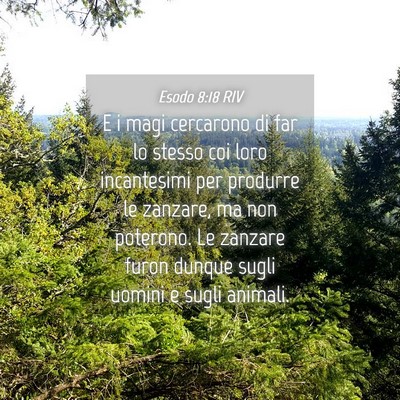 Picture 04 - Esodo 8:18 RIV - E i magi cercarono di far lo stesso coi loro - Bible Verse Picture