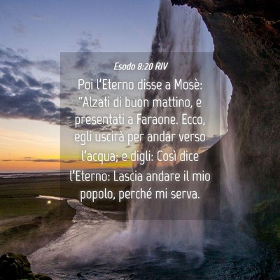 Picture 04 - Esodo 8:20 RIV - Poi l’Eterno disse a Mosè: “Alzati di buon - Bible Verse Picture