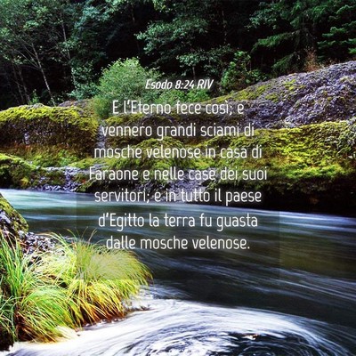 Picture 04 - Esodo 8:24 RIV - E l’Eterno fece così; e vennero grandi sciami - Bible Verse Picture
