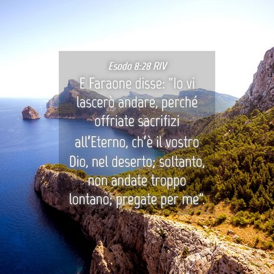 Picture 04 - Esodo 8:28 RIV - E Faraone disse: “Io vi lascerò andare, - Bible Verse Picture