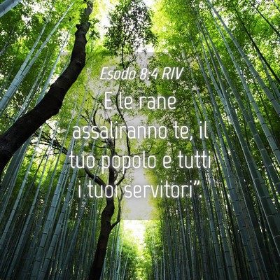 Picture 04 - Esodo 8:4 RIV - E le rane assaliranno te, il tuo popolo e tutti i - Bible Verse Picture
