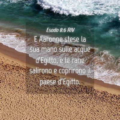 Picture 04 - Esodo 8:6 RIV - E Aaronne stese la sua mano sulle acque - Bible Verse Picture