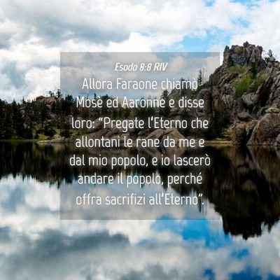 Picture 04 - Esodo 8:8 RIV - Allora Faraone chiamò Mosè ed Aaronne e disse - Bible Verse Picture