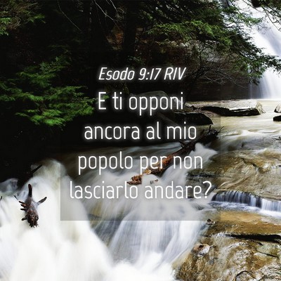 Picture 04 - Esodo 9:17 RIV - E ti opponi ancora al mio popolo per non - Bible Verse Picture
