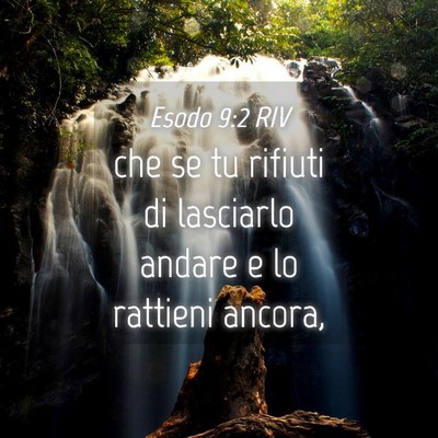 Picture 04 - Esodo 9:2 RIV - che se tu rifiuti di lasciarlo andare e lo - Bible Verse Picture