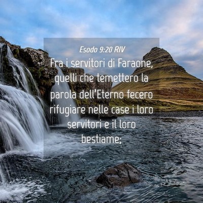 Picture 04 - Esodo 9:20 RIV - Fra i servitori di Faraone, quelli che temettero - Bible Verse Picture