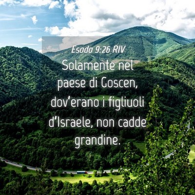 Picture 04 - Esodo 9:26 RIV - Solamente nel paese di Goscen, dov’erano i - Bible Verse Picture
