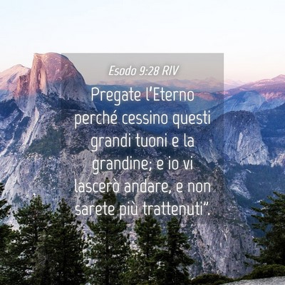 Picture 04 - Esodo 9:28 RIV - Pregate l’Eterno perché cessino questi grandi - Bible Verse Picture