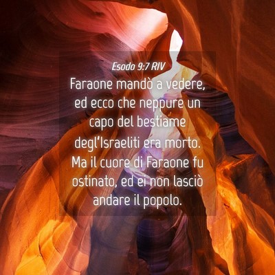 Picture 04 - Esodo 9:7 RIV - Faraone mandò a vedere, ed ecco che neppure un - Bible Verse Picture