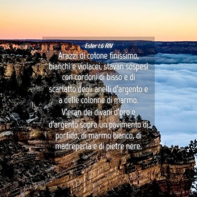 Picture 04 - Ester 1:6 RIV - Arazzi di cotone finissimo, bianchi e violacei, - Bible Verse Picture