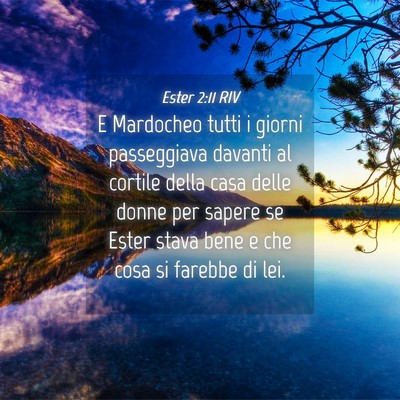 Picture 04 - Ester 2:11 RIV - E Mardocheo tutti i giorni passeggiava davanti al - Bible Verse Picture