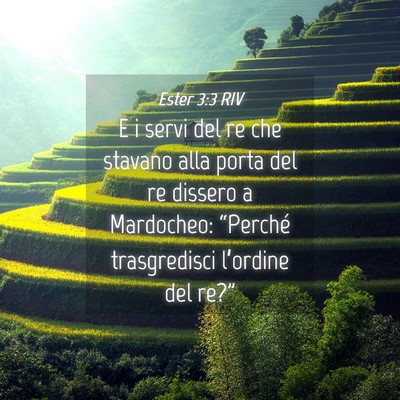 Picture 04 - Ester 3:3 RIV - E i servi del re che stavano alla porta del re - Bible Verse Picture