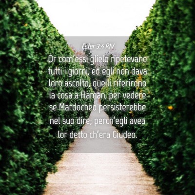 Picture 04 - Ester 3:4 RIV - Or com’essi glielo ripetevano tutti i giorni, - Bible Verse Picture