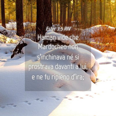 Picture 04 - Ester 3:5 RIV - Haman vide che Mardocheo non s’inchinava né si - Bible Verse Picture