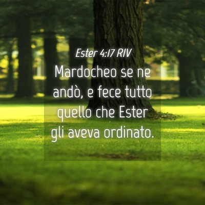Picture 04 - Ester 4:17 RIV - Mardocheo se ne andò, e fece tutto quello che - Bible Verse Picture