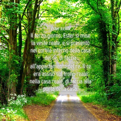 Picture 04 - Ester 5:1 RIV - Il terzo giorno, Ester si mise la veste reale, e - Bible Verse Picture