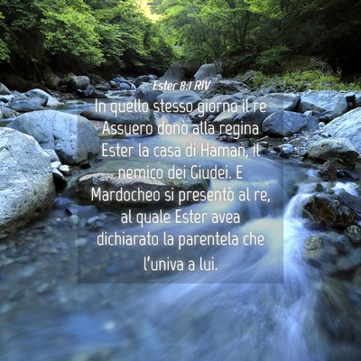 Picture 04 - Ester 8:1 RIV - In quello stesso giorno il re Assuero donò alla - Bible Verse Picture