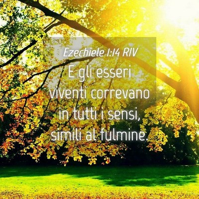 Picture 04 - Ezechiele 1:14 RIV - E gli esseri viventi correvano in tutti i sensi, - Bible Verse Picture