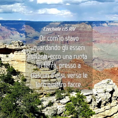 Picture 04 - Ezechiele 1:15 RIV - Or com’io stavo guardando gli esseri viventi, - Bible Verse Picture