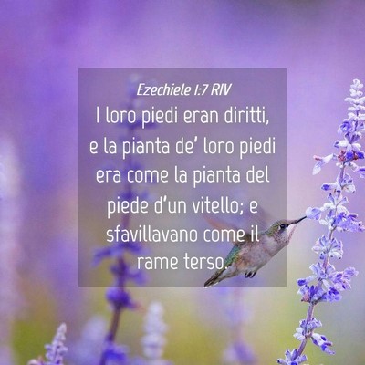 Picture 04 - Ezechiele 1:7 RIV - I loro piedi eran diritti, e la pianta de’ loro - Bible Verse Picture