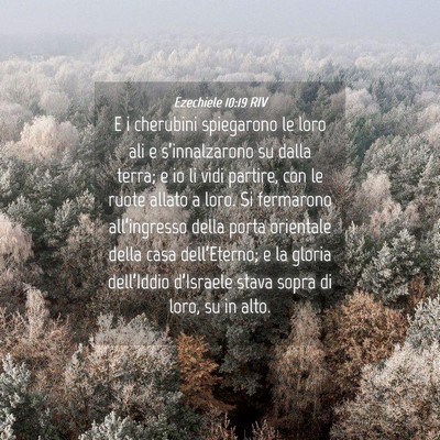 Picture 04 - Ezechiele 10:19 RIV - E i cherubini spiegarono le loro ali e - Bible Verse Picture