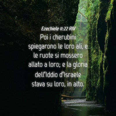 Picture 04 - Ezechiele 11:22 RIV - Poi i cherubini spiegarono le loro ali, e le - Bible Verse Picture