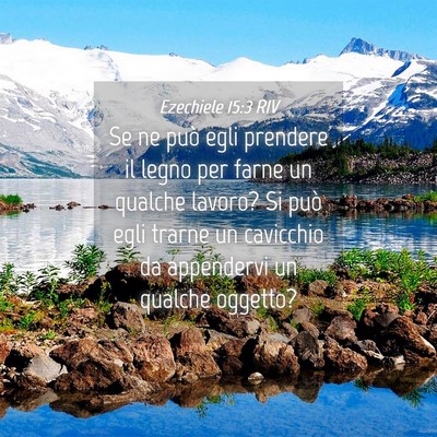 Picture 04 - Ezechiele 15:3 RIV - Se ne può egli prendere il legno per farne un - Bible Verse Picture