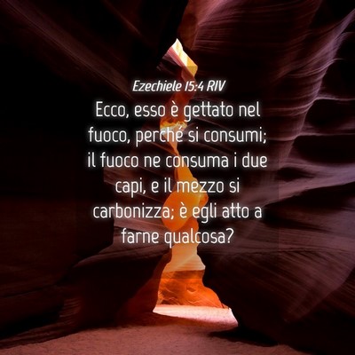 Picture 04 - Ezechiele 15:4 RIV - Ecco, esso è gettato nel fuoco, perché si - Bible Verse Picture
