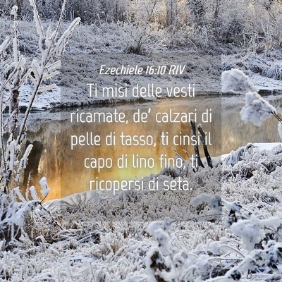 Picture 04 - Ezechiele 16:10 RIV - Ti misi delle vesti ricamate, de’ calzari di - Bible Verse Picture
