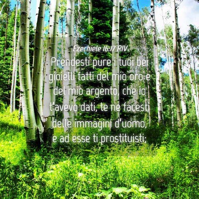 Picture 04 - Ezechiele 16:17 RIV - Prendesti pure i tuoi bei gioielli fatti del mio - Bible Verse Picture
