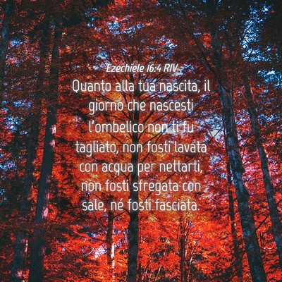 Picture 04 - Ezechiele 16:4 RIV - Quanto alla tua nascita, il giorno che nascesti - Bible Verse Picture