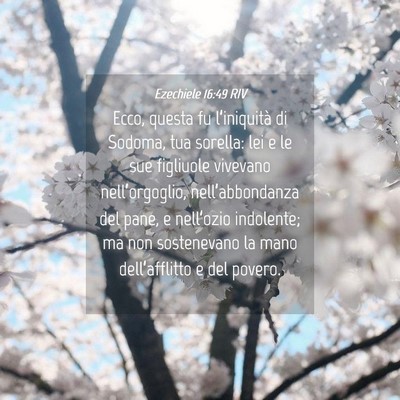 Picture 04 - Ezechiele 16:49 RIV - Ecco, questa fu l’iniquità di Sodoma, tua - Bible Verse Picture